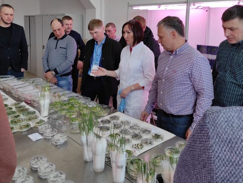 Научные сотрудники БНИИСХ УФИЦ РАН делятся опытом с руководителями и агрономами сельскохозяйственных предприятий